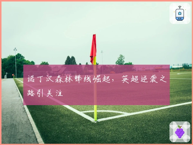 诺丁汉森林锋线崛起，英超逆袭之路引关注